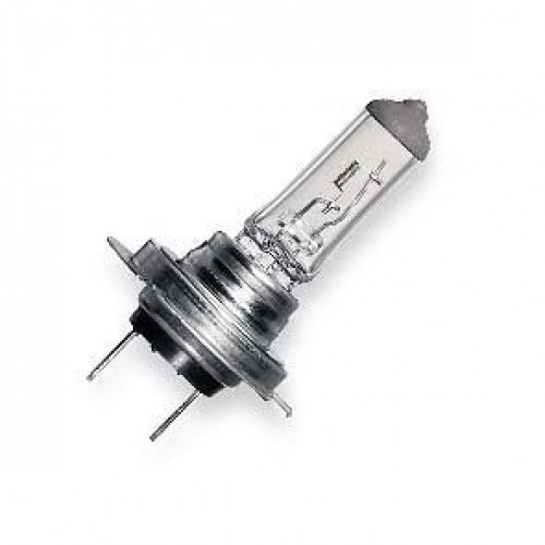 Car halogen bulb H4